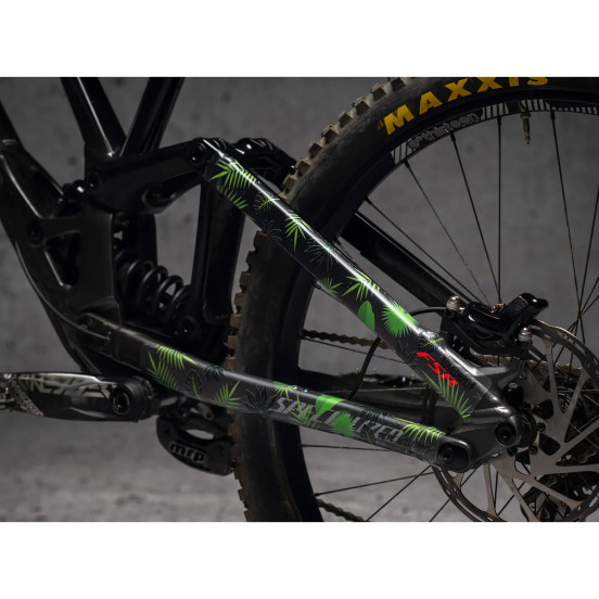 copy of Sticker de cadre BMX Teresa Williams