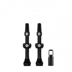 Kit de valves tubeless V2 (paire)
