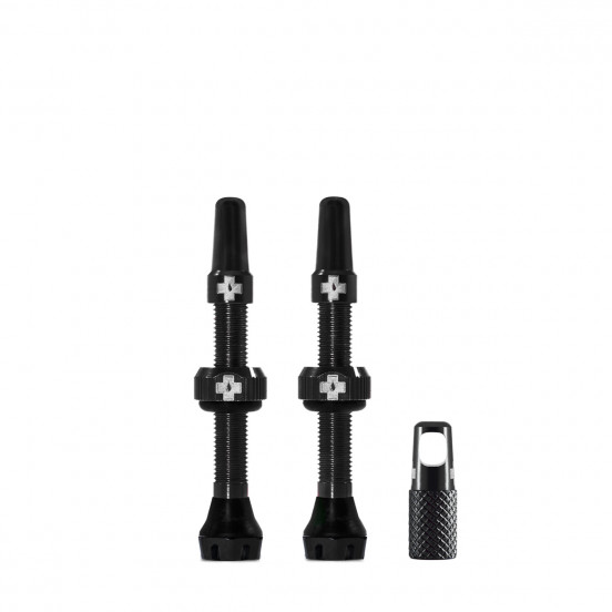 Kit de valves tubeless V2 (paire)