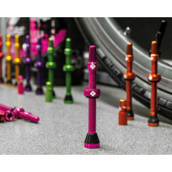 Kit de valves tubeless (paire)