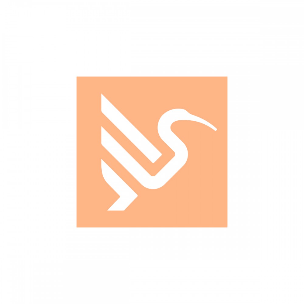 copy of Capot direct mount Mojo 3