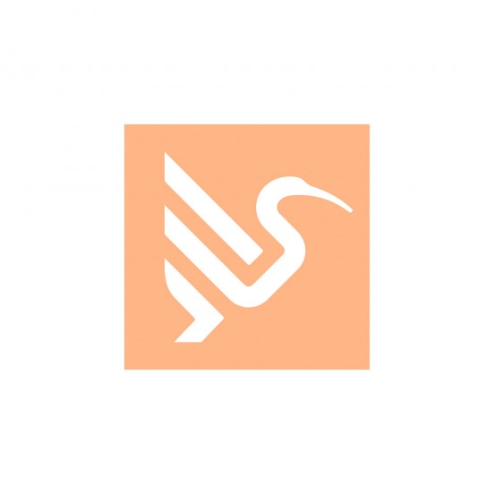 copy of Support DI2 simple