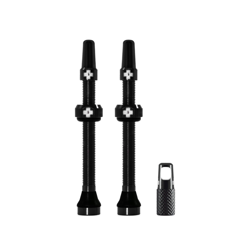 Kit de valves tubeless (paire)