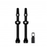 Kit de valves tubeless (paire)